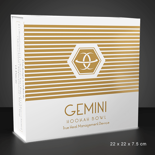gemini-foyer-chicha-silver-chauffe-lat-rale-avec-couvercle image 3