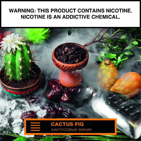 element-earth-tabac-chicha-cactus-fig-200g-l-ger image 2
