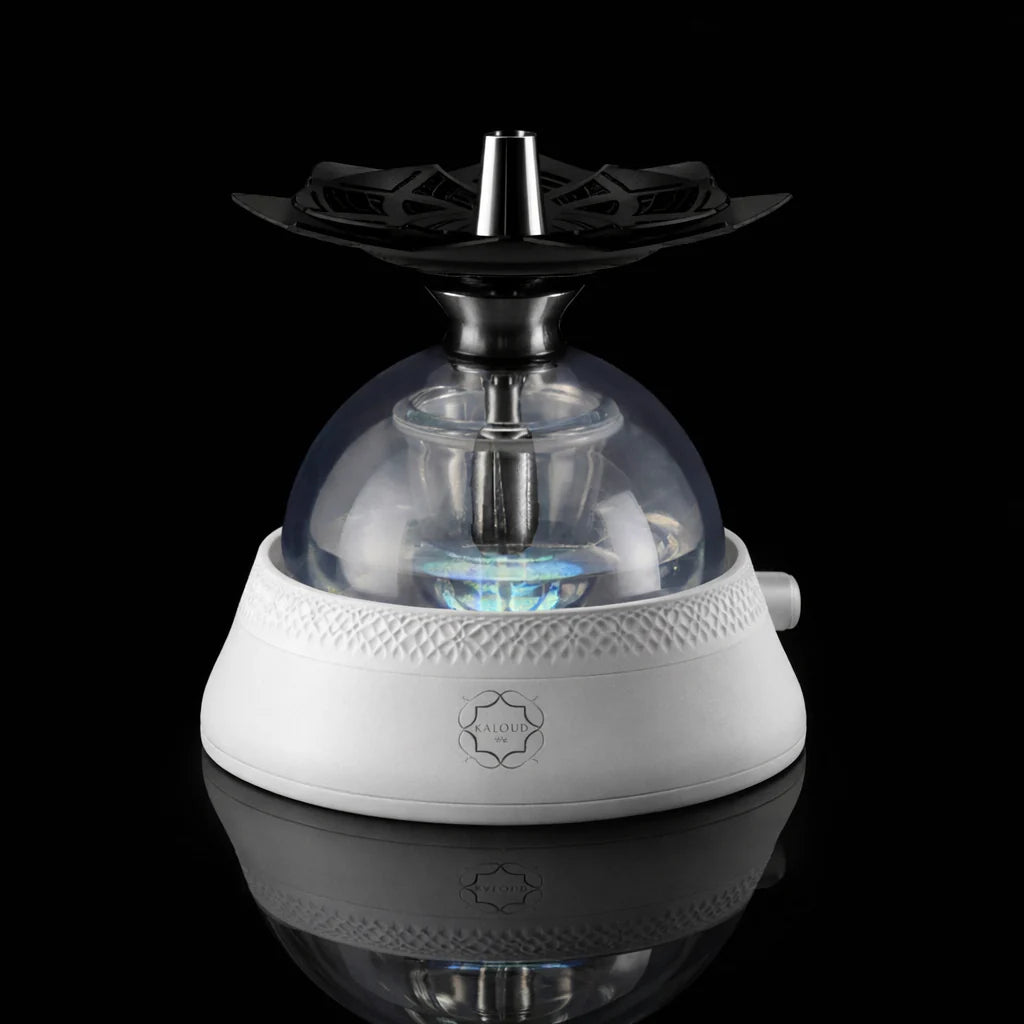 kaloud-leo-zodiac-chicha-blanche-compl-te-violis-or image 5